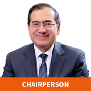 H.E. Tarek El-Molla